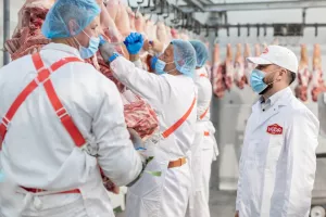 Proizvodni pogon Mesne industrije Vajde 