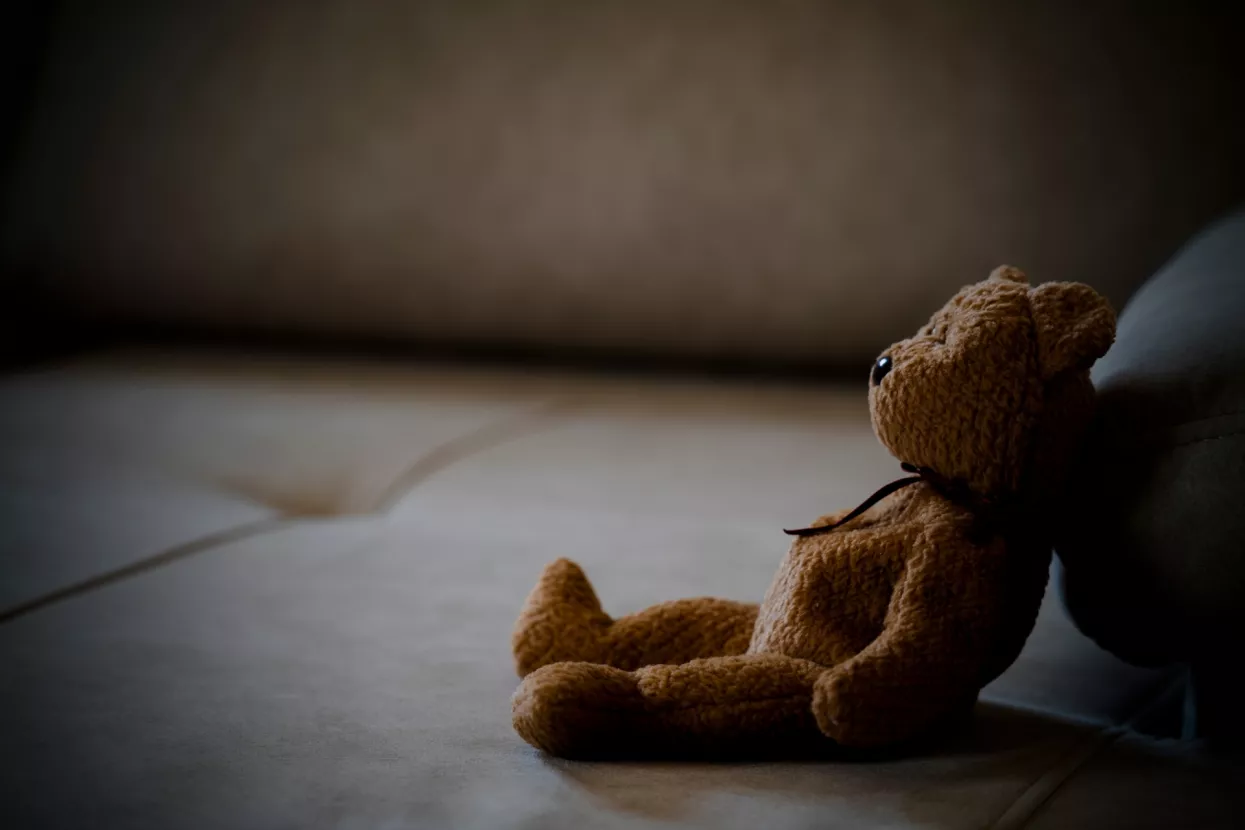 Usamljeni medvjedić, odbačen, neželjen, teddy bear