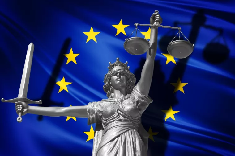 Upravni sporovi: Hoće li novi zakon dokinuti praksu izbjegavanja europske pravne stečevine?