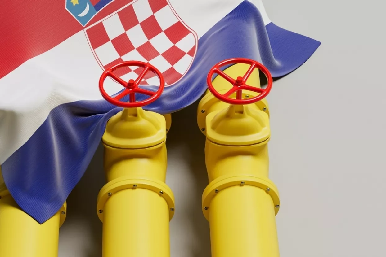 plin hrvatska