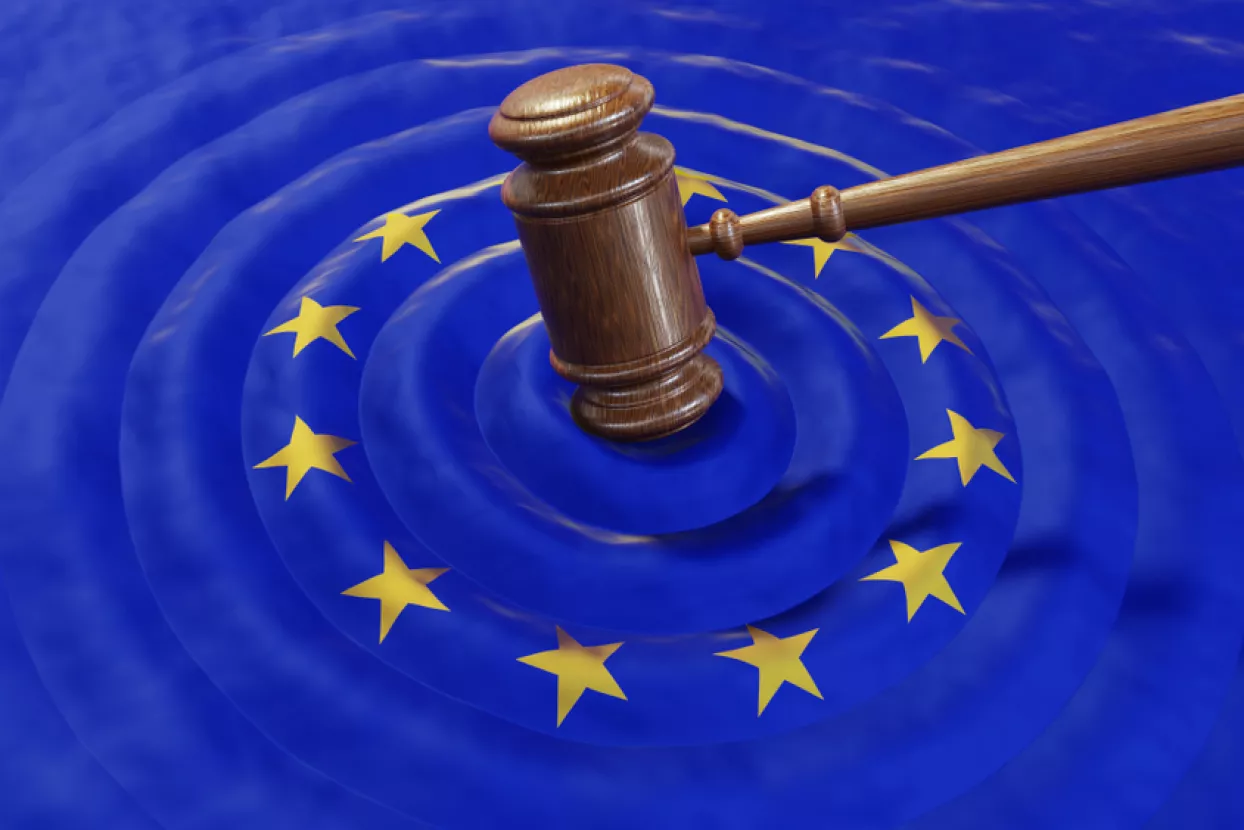EU kazna, kazne, sud