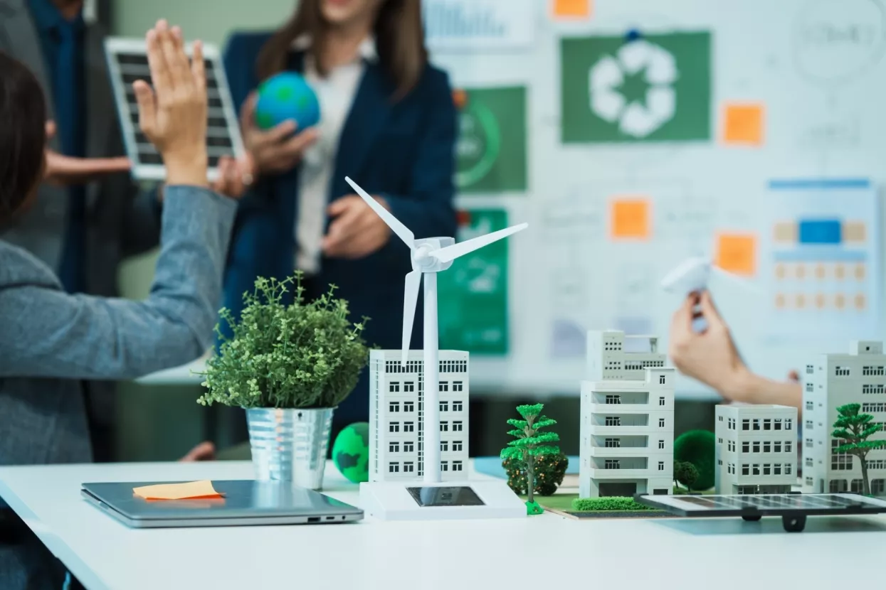 Greenwashing, revizori, klimatski projekti
