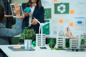 Greenwashing, revizori, klimatski projekti