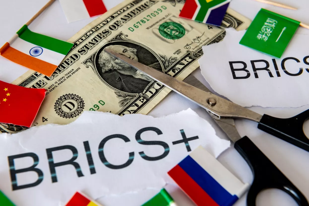 BRICS and BRICS+ zemlje