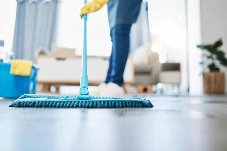 čistačica, čistačice, či&scaron;ćenje, pospremanje, sobarica, housekeeping
