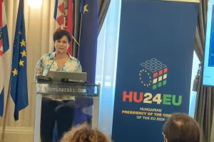 Virag Mesaro&scaron;
