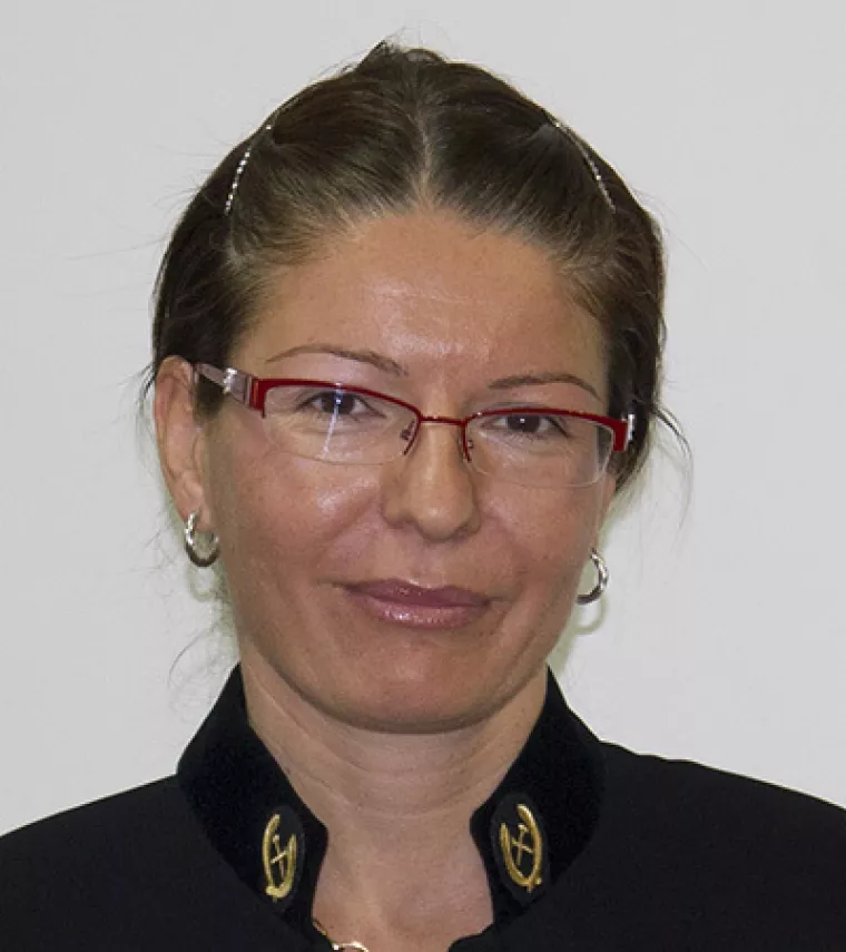 Prof. dr. sc. Sibila Borojević &Scaron;o&scaron;tarić, sa Zavoda za mineralogiju, petrologiju i mineralne sirovine Rudarsko-geolo&scaron;kog-naftnog fakulteta Sveučili&scaron;ta u Zagrebu obja&scaron;njava kako najveći rast od 30 posto u razdoblju od 2021. do 2023. među kritičnim sirovinama bilježi litij, dok najmanji rast od tri posto bilježi bakar. U isto vrijeme cijene svih ovih metala na svjetskim burzama padaju jer je u ovom trenutku proizvodnja veća od potražnje 