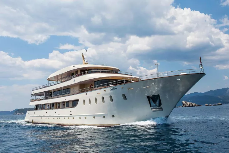 Lastavica Cruising