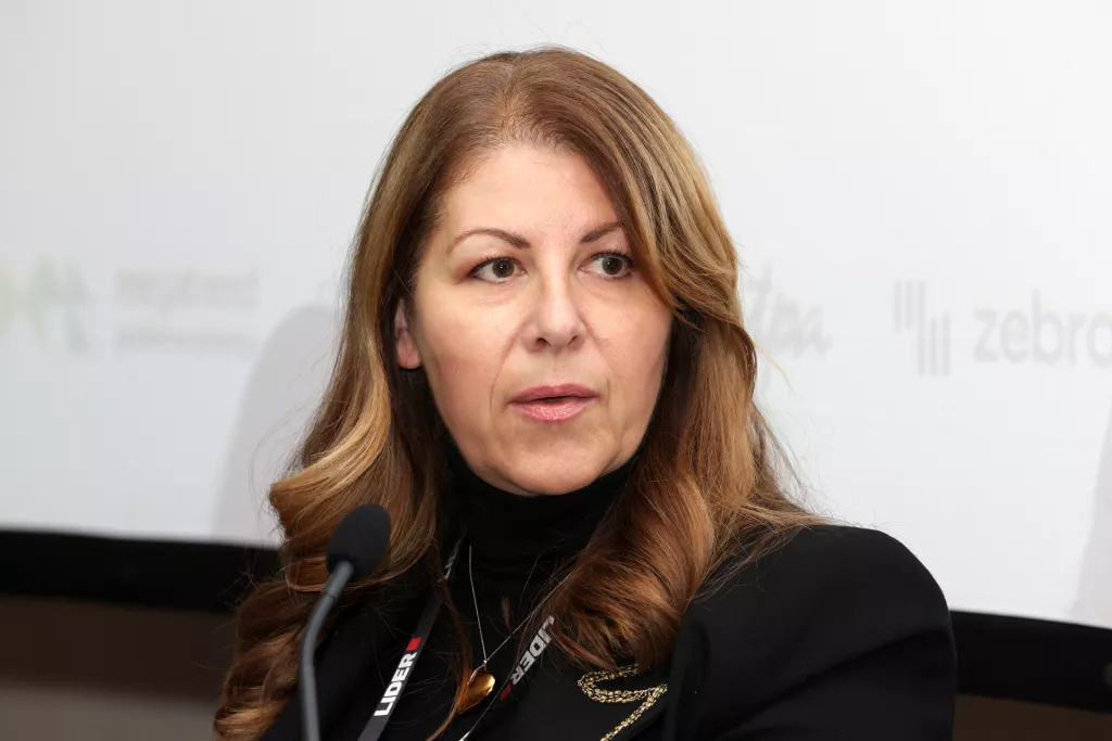 Kontroling 2024. C- panel: Izazovi transformacije - pogled s vrha. Milena Vu&scaron;ak