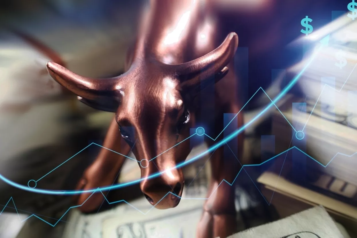 bitcoin bull run