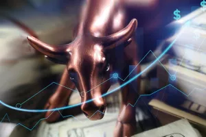 bitcoin bull run