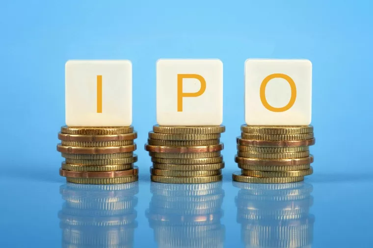 IPO (Initial Public Offering)