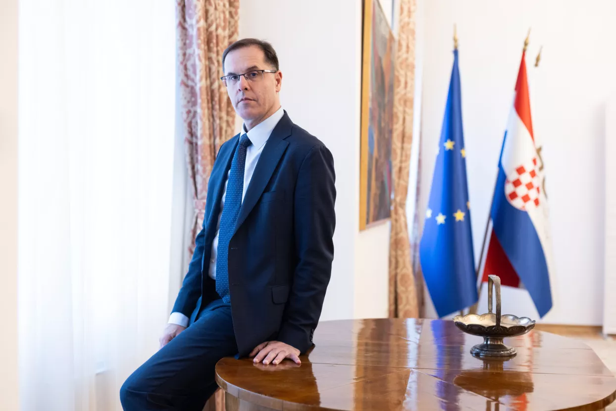 Goran &Scaron;aravanja, Hrvatska gospodarska komora.