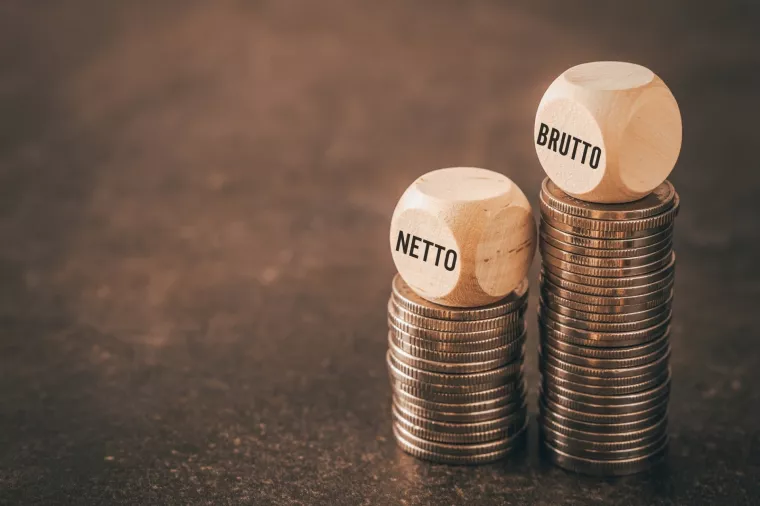 neto plaća, bruto plaća. plaća