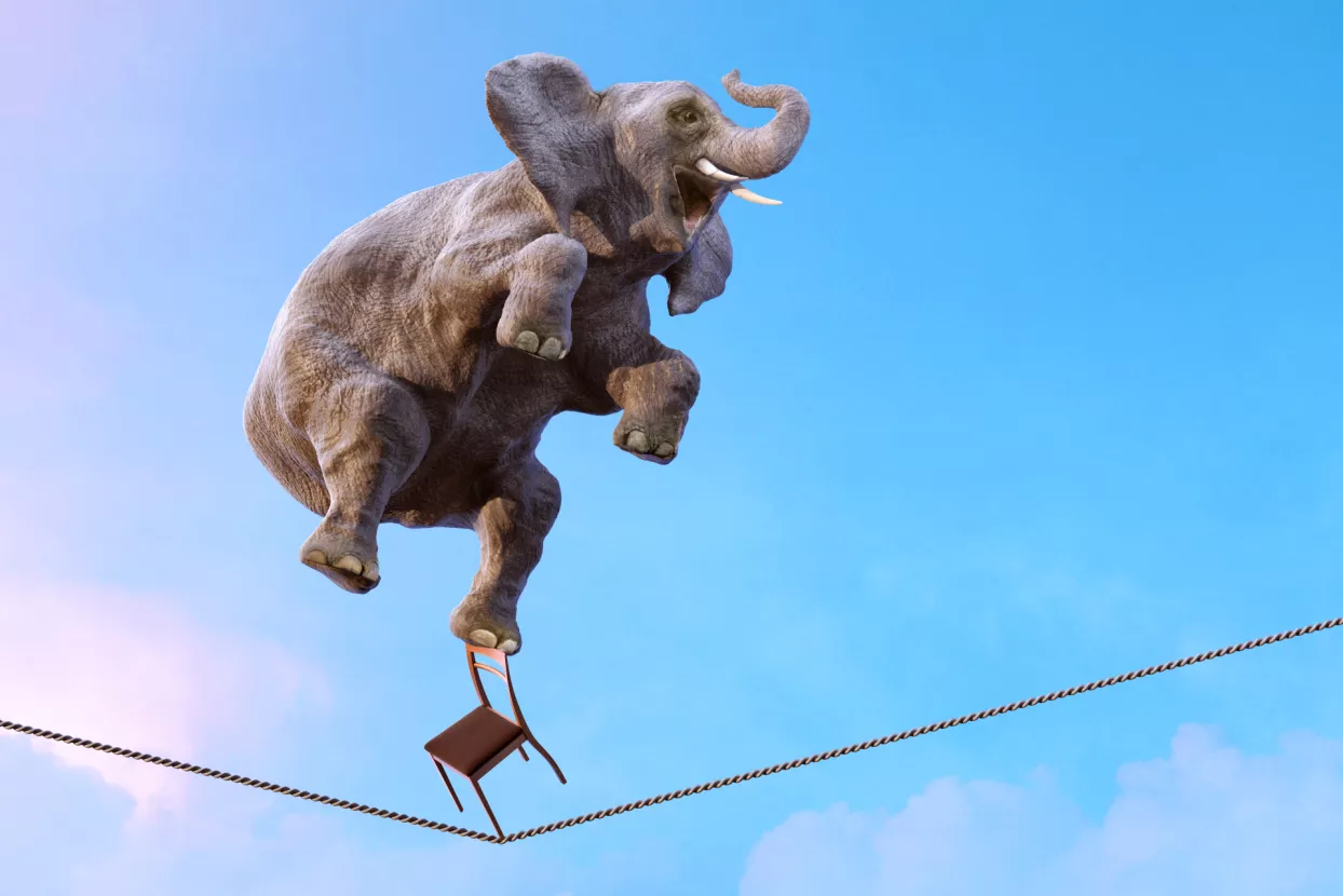 Slon, balans, žica, uže, privatno i poslovno, work life balance, ravnoteža