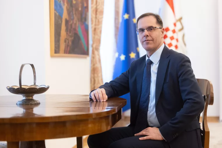 Goran &Scaron;aravanja, Hrvatska gospodarska komora.