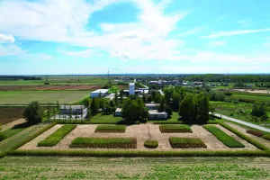 BC INSTITUT - pokus BC kukuruza,soje i suncokreta i upravna zgrada 2024