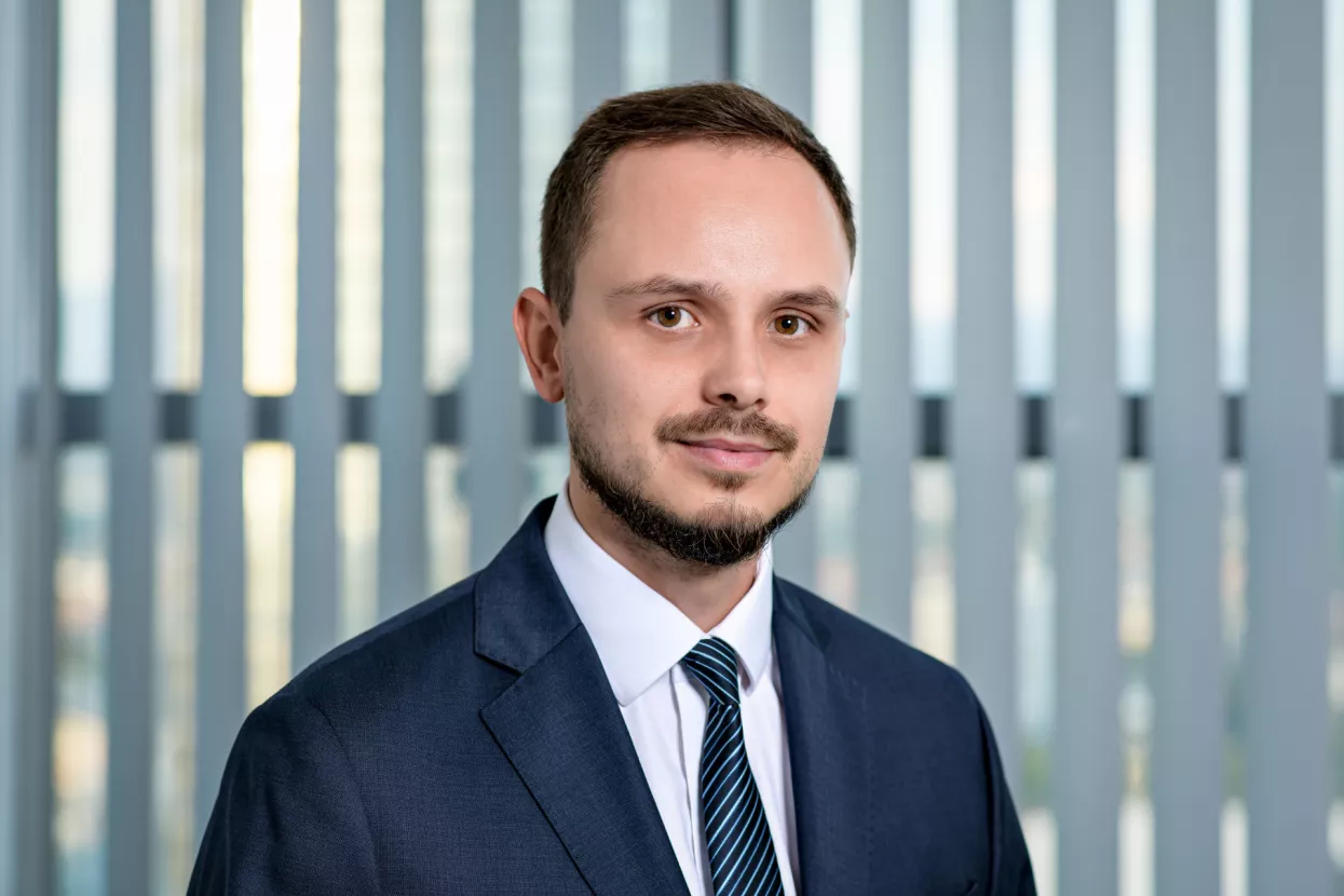 Kre&scaron;o Vugrinčić, InterCapital