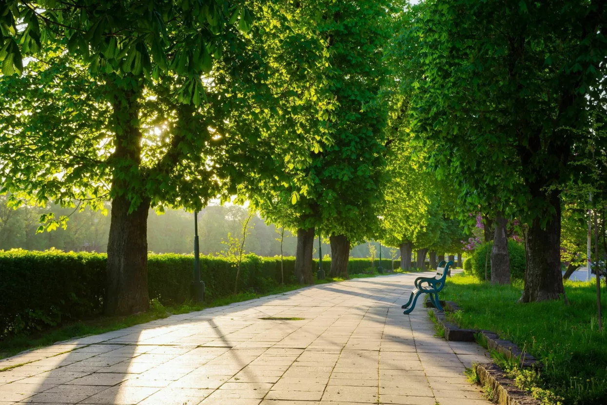 Gradski park