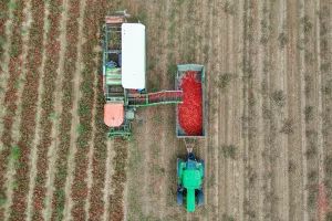 Poljoprivreda, Podravka, Fortenova Grupa