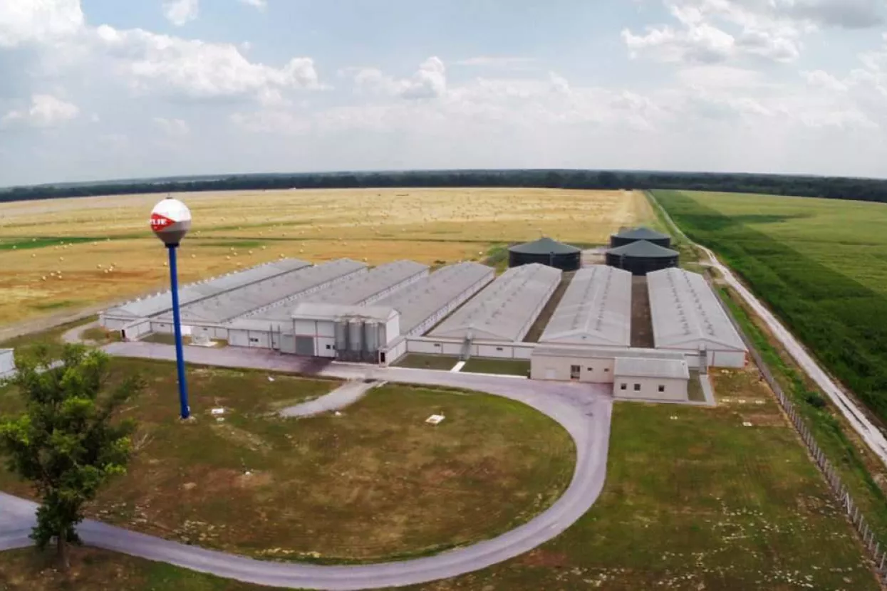 Farma Sokolovac (Belje)