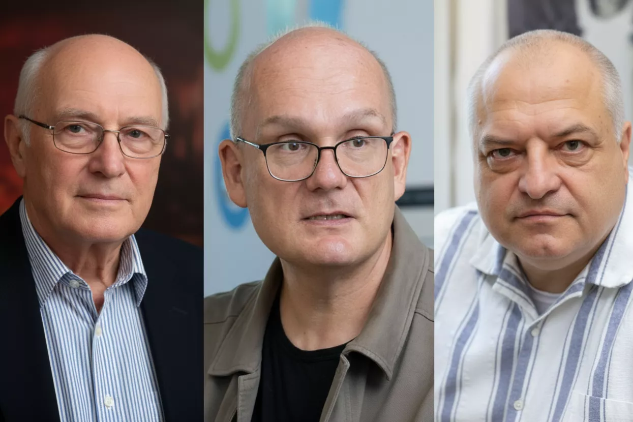 Davor &Scaron;tern, Julije Domac, Zdeslav Matić