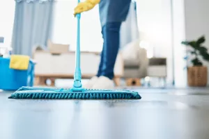 čistačica, čistačice, či&scaron;ćenje, pospremanje, sobarica, housekeeping