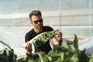 David Pejić