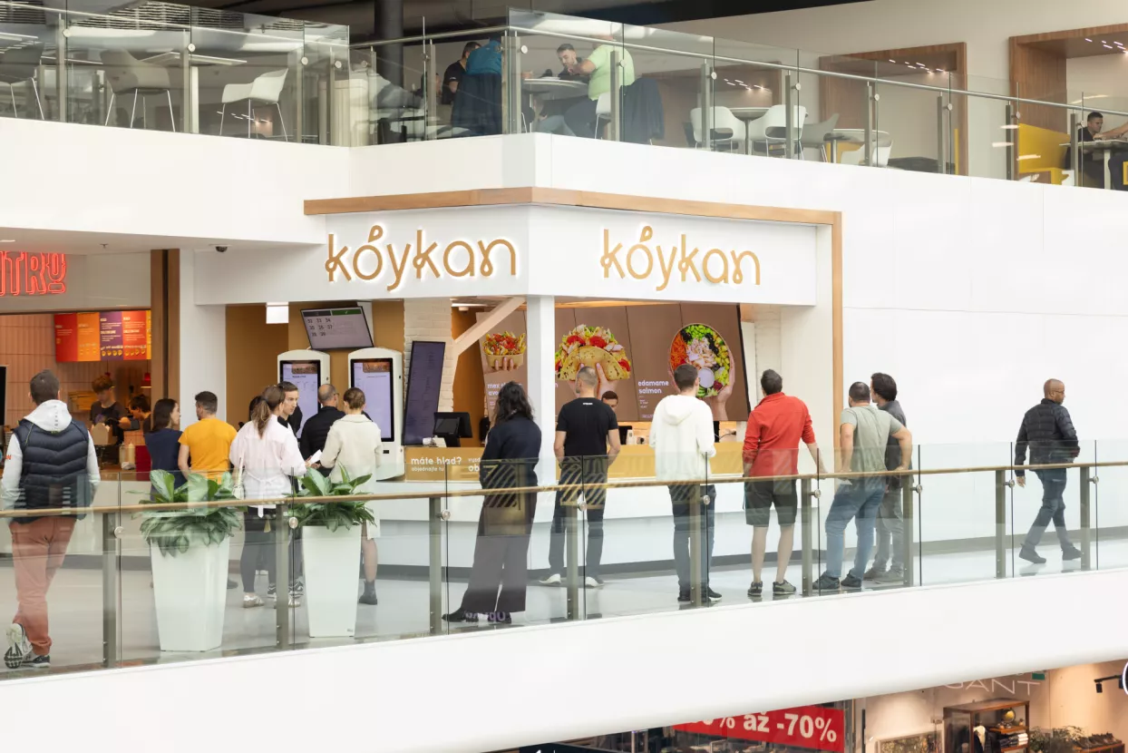 Koykan obveznica