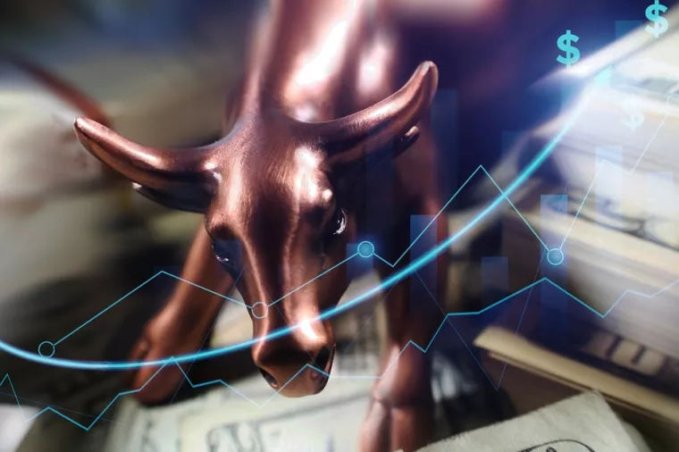bitcoin bull run