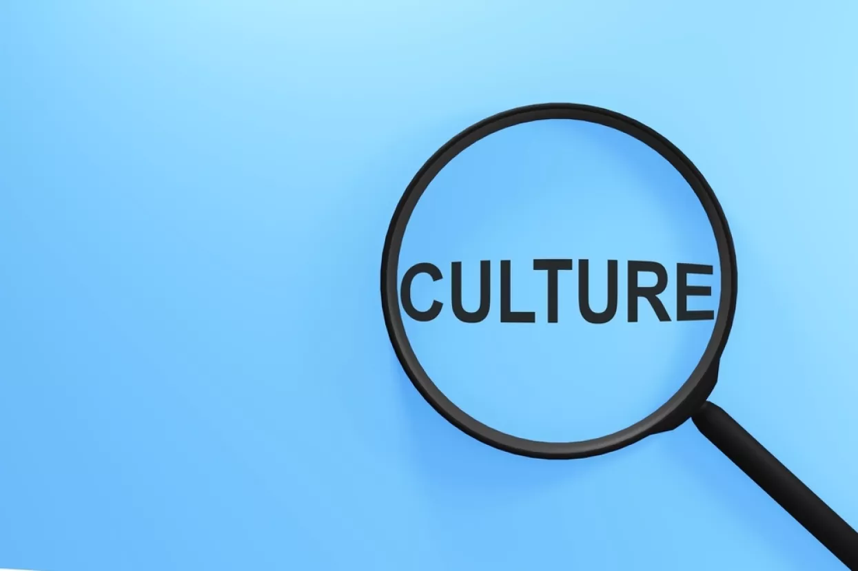 kultura, poziv, kulturni sadržaji, kulturna djelatnost, potraga