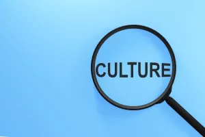 kultura, poziv, kulturni sadržaji, kulturna djelatnost, potraga