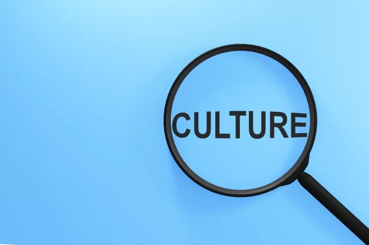 kultura, poziv, kulturni sadržaji, kulturna djelatnost, potraga