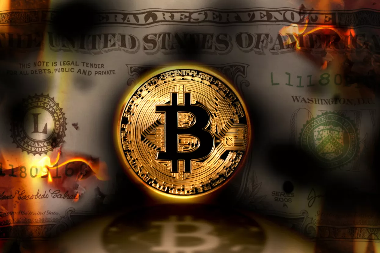 Bitcoin vs dollar