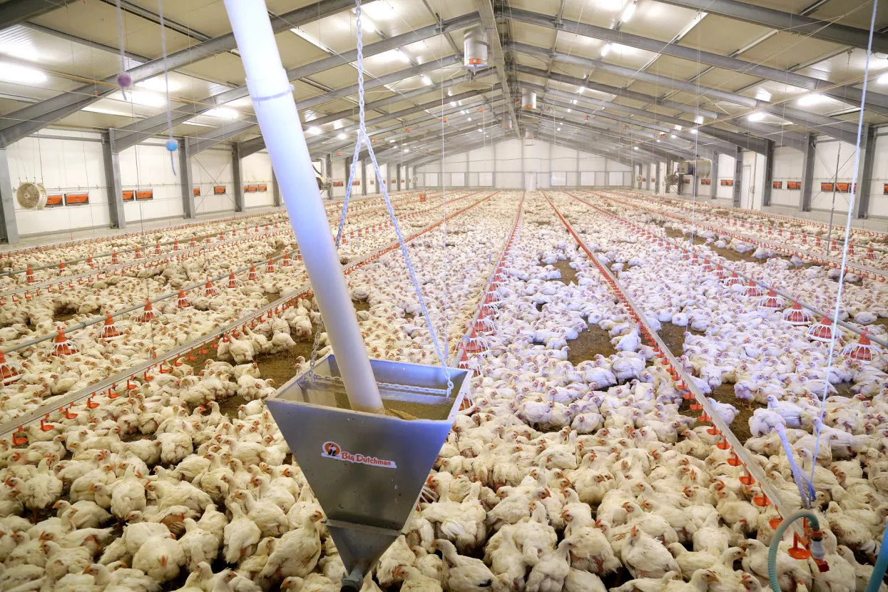 Farme pilića u ZagorjuFarma &Scaron;krlec, Konj&scaron;čina